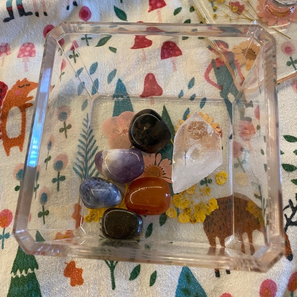 URBAN OUTFITTERS Acrylic Dried Floral Stash Box - Picture 4 of 4